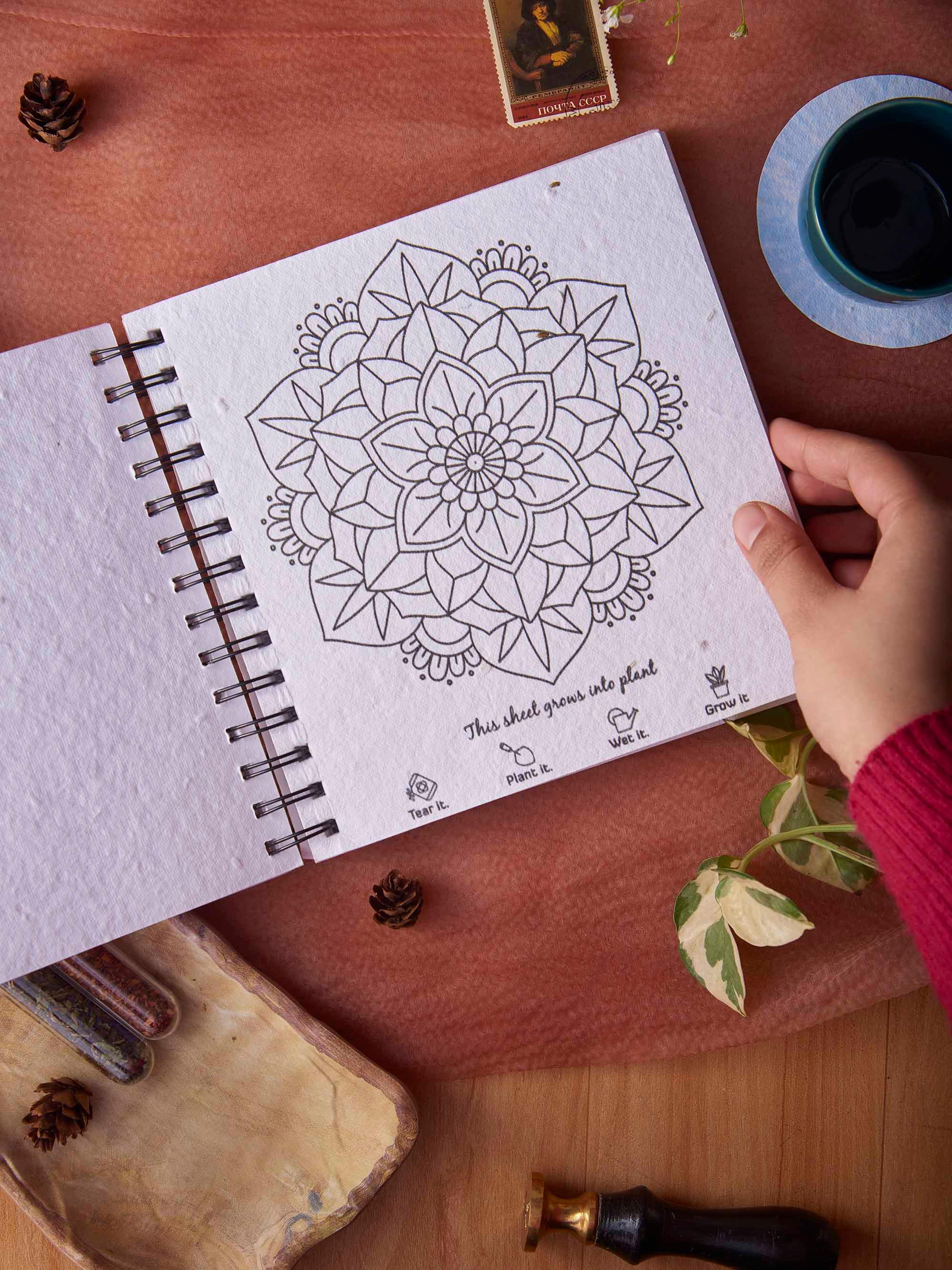 Plantables Adult Coloring Gift Set