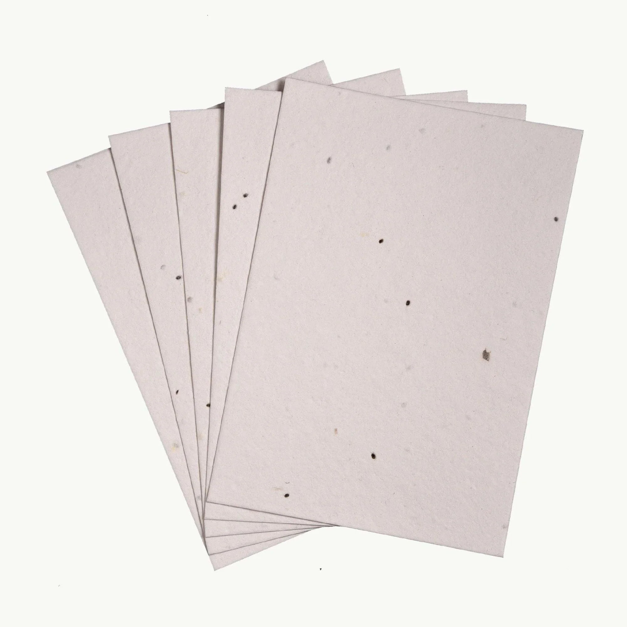 Beautiful handmade basil seed paper  that grows into a plant