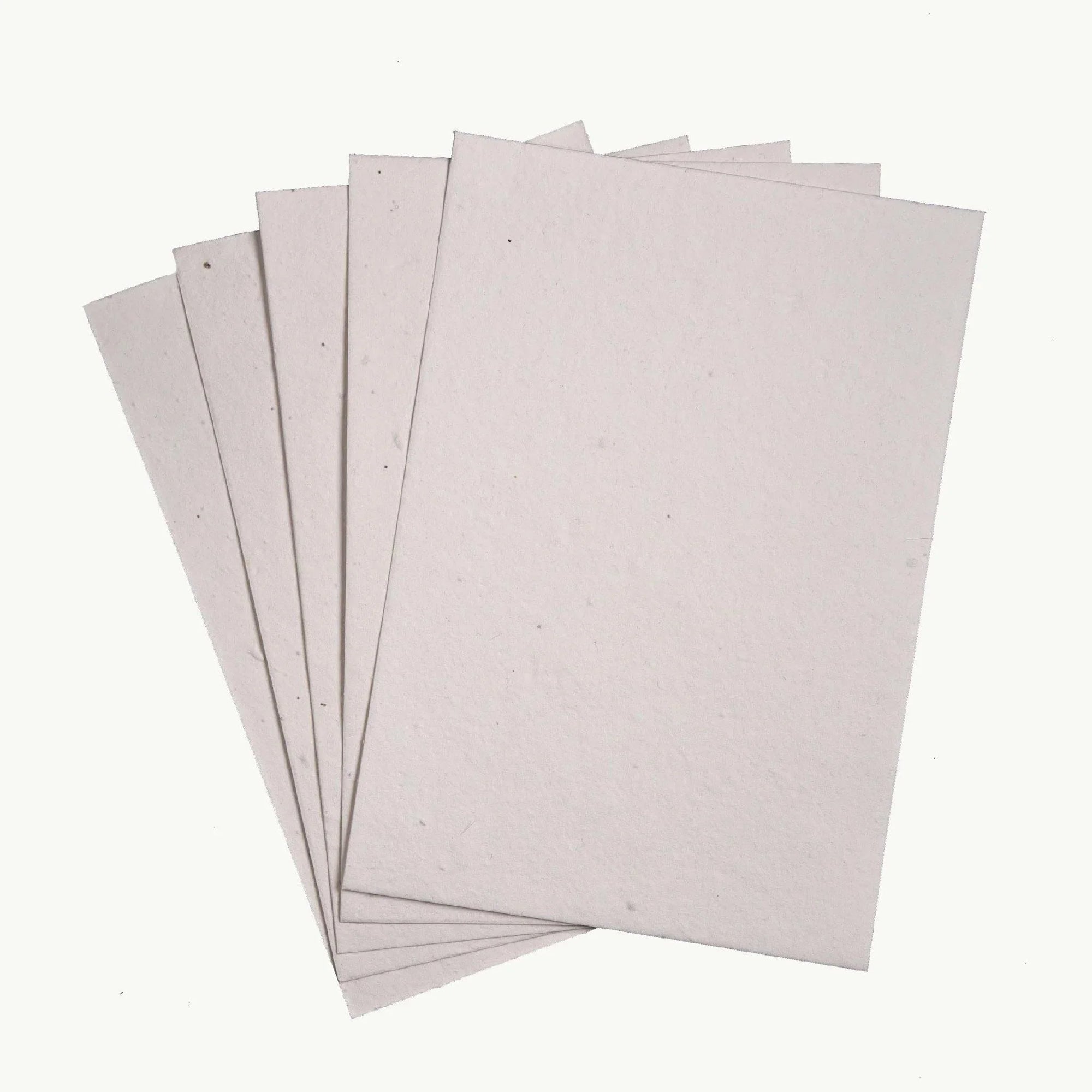 Eco-friendly mixed wildflower seed paper that grows into a plant