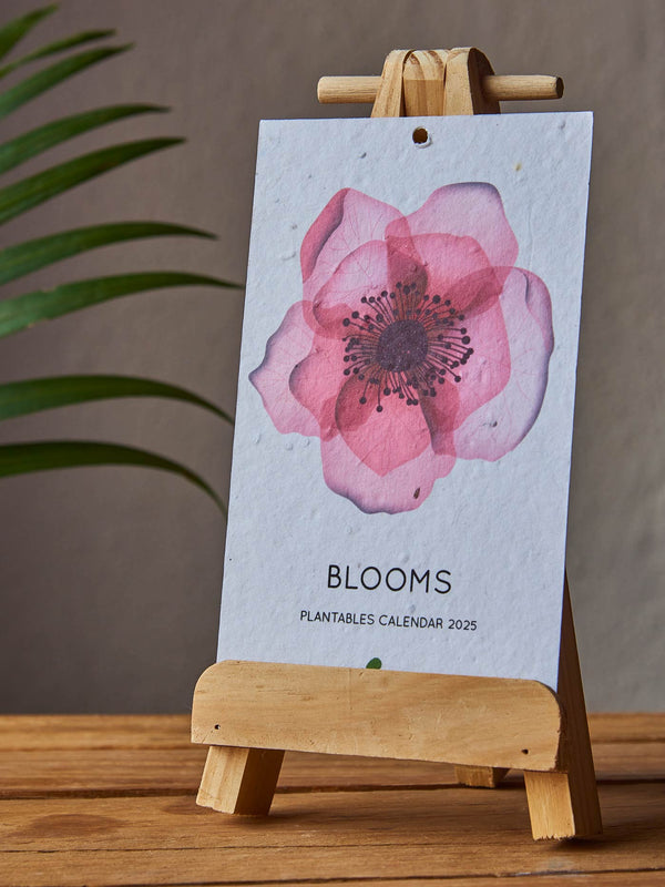 Blooms Calendar 2025