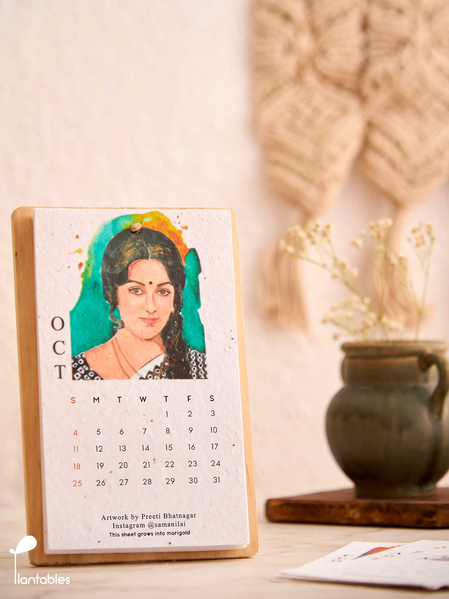 B'Town Classics in Watercolour Calendar 2026