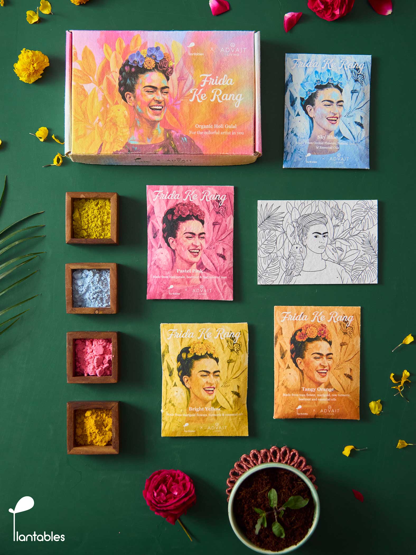 Frida ke Rang | Holi Art Kit | Organic Gulals & Plantable Postcards