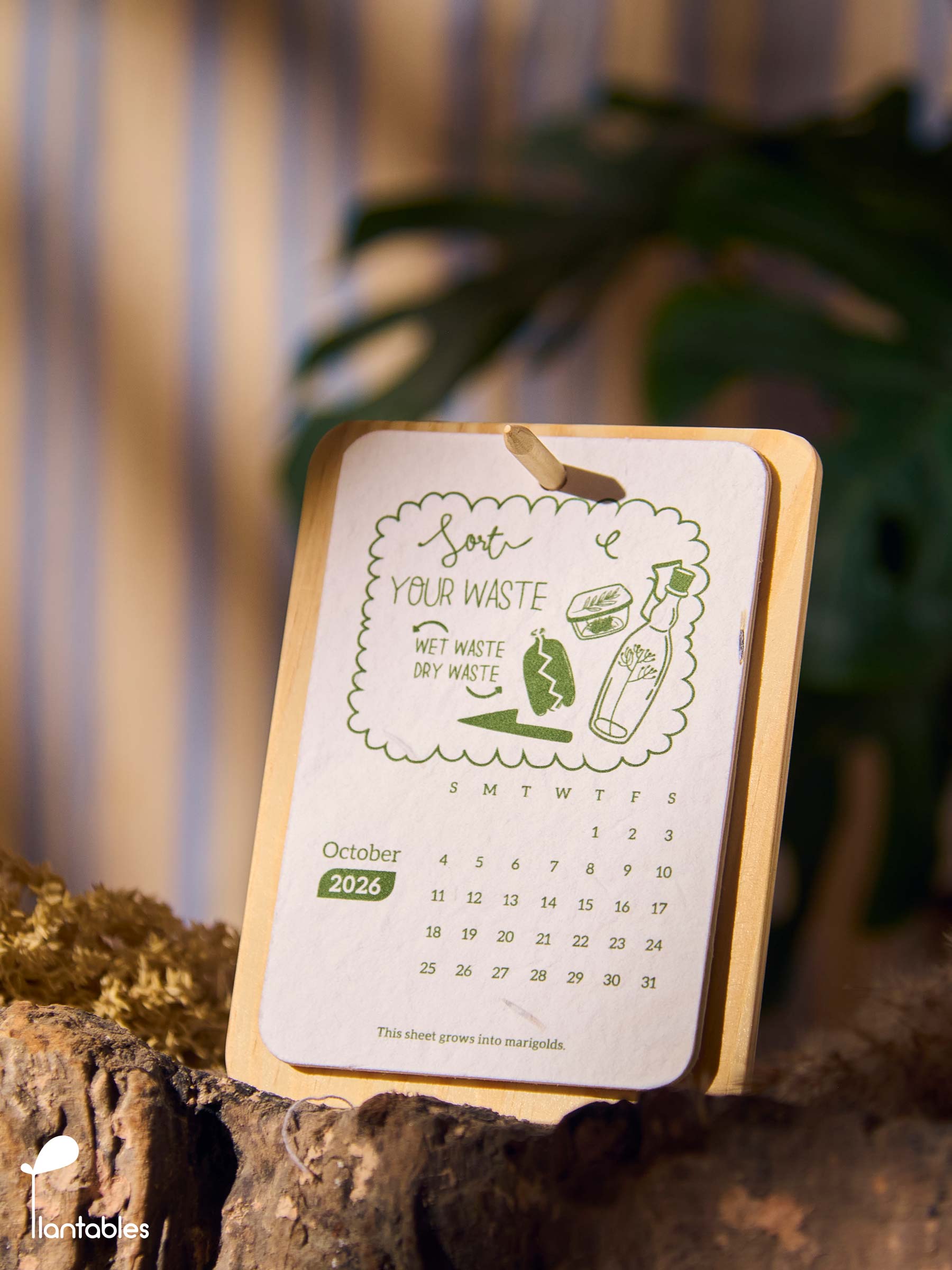 Planet Positive Calendar 2026