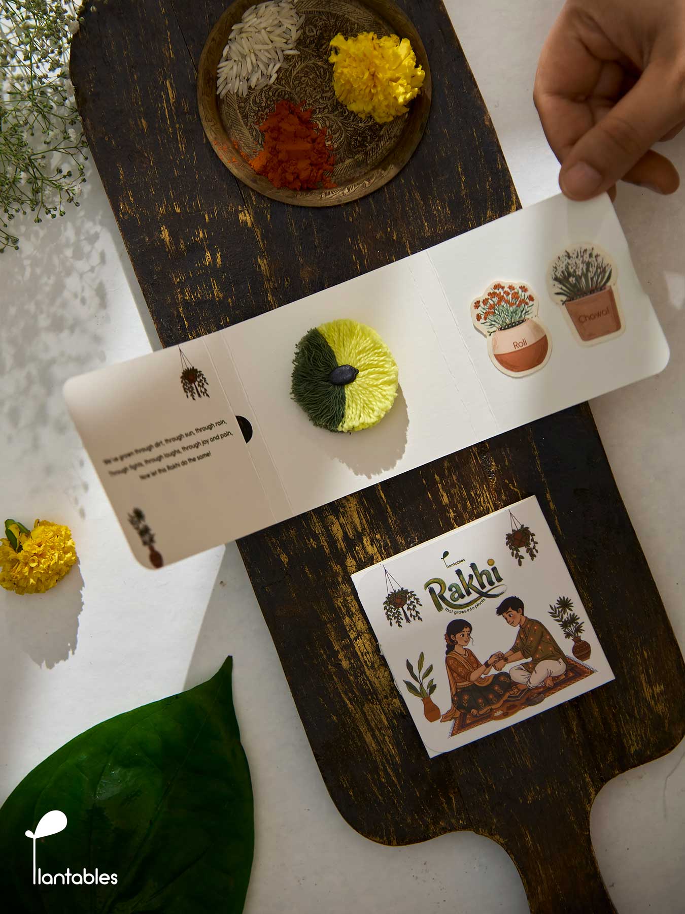 Earthline Rakhi, two-tone green cotton pompom rakhi with plantable seed paper centre