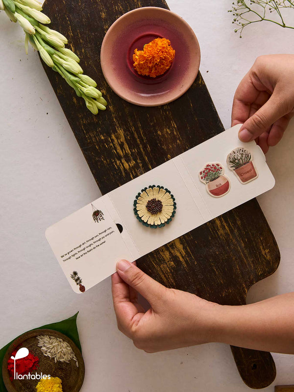 Frill Seeker Rakhi, frilled layered petal design in plantable seed paper