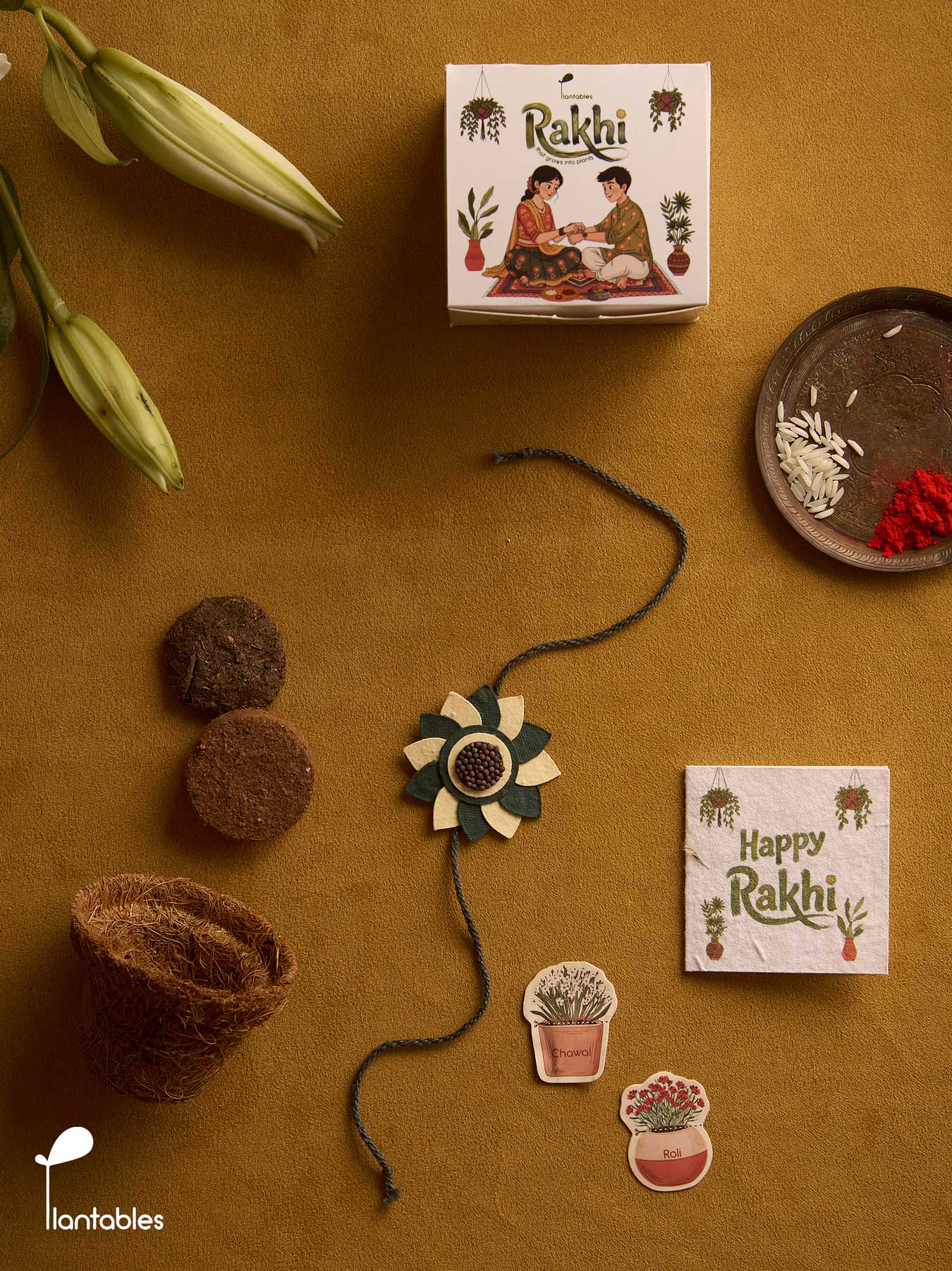 Whorlwind Rakhi Planting Kit, layered petal rakhi with seed paper greeting card, roli chawal pockets and coir pot