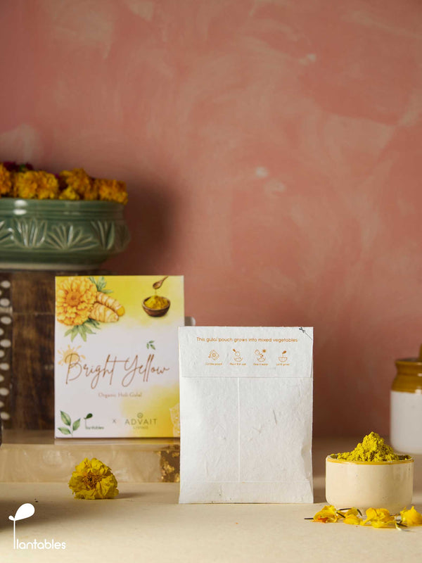 Rangrez | Bright Yellow Gulal