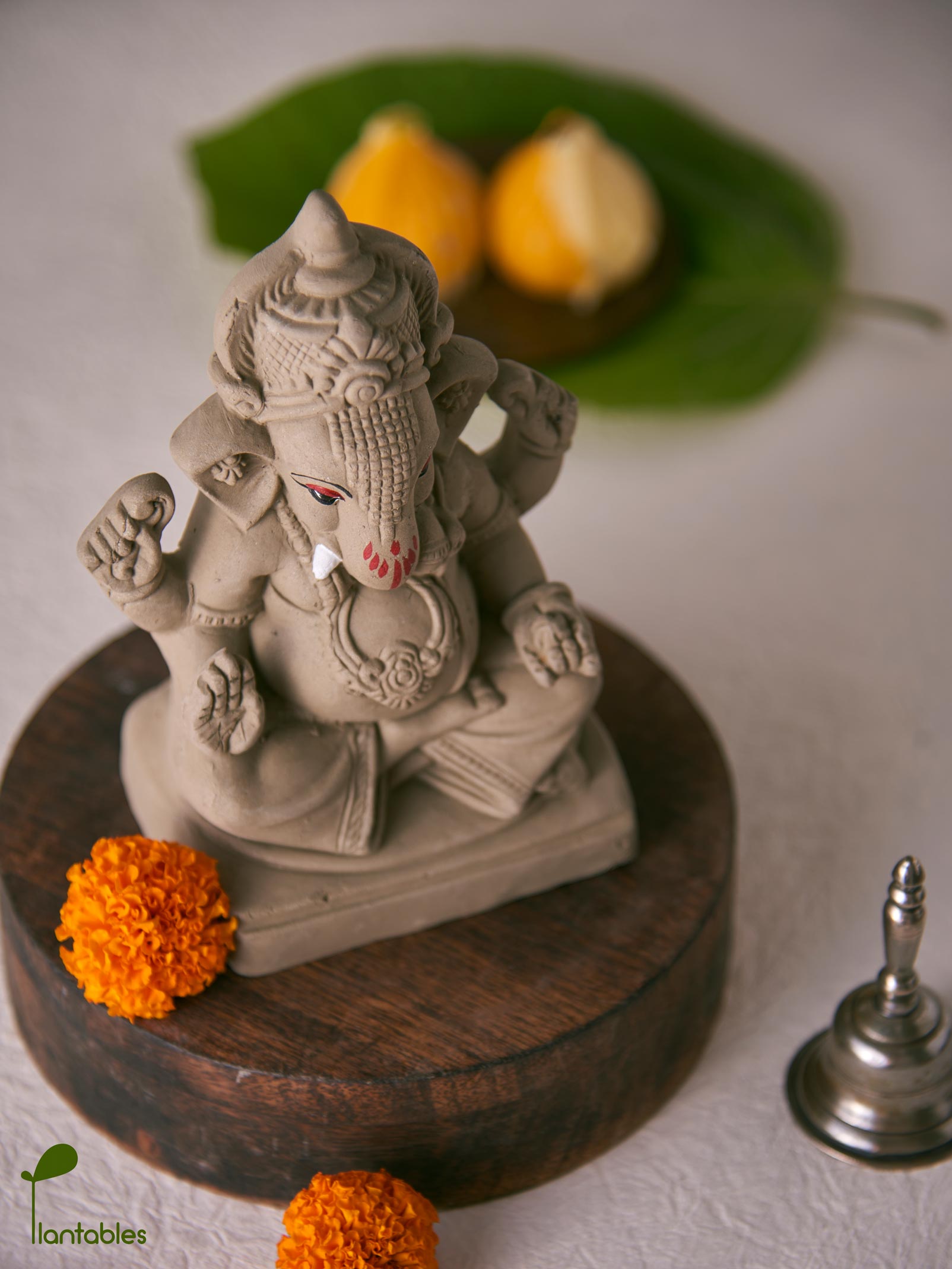 Taruna: The Green Thumb of Youth | Plantable Clay Ganesha | 5 inches