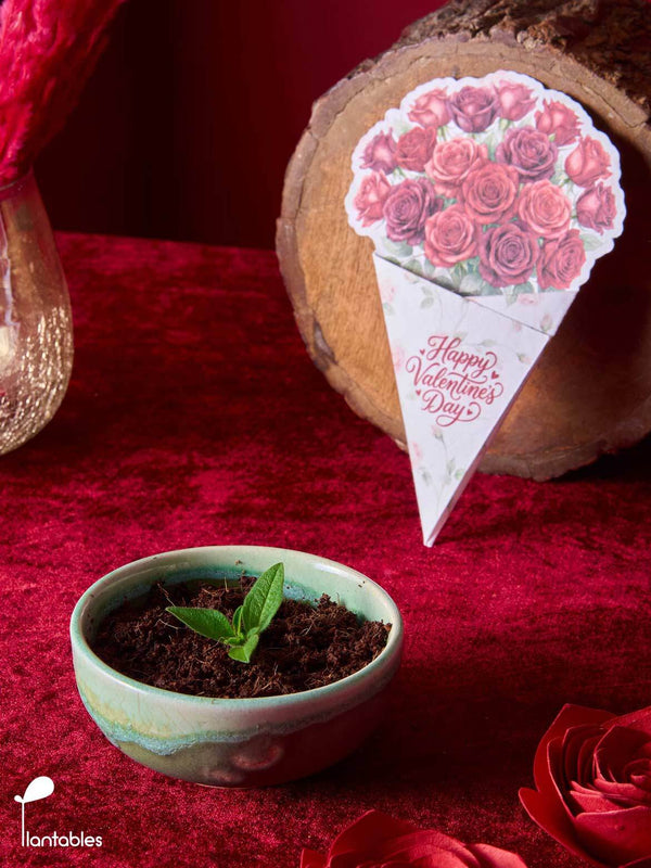 Bouquet with a Plantable Heart