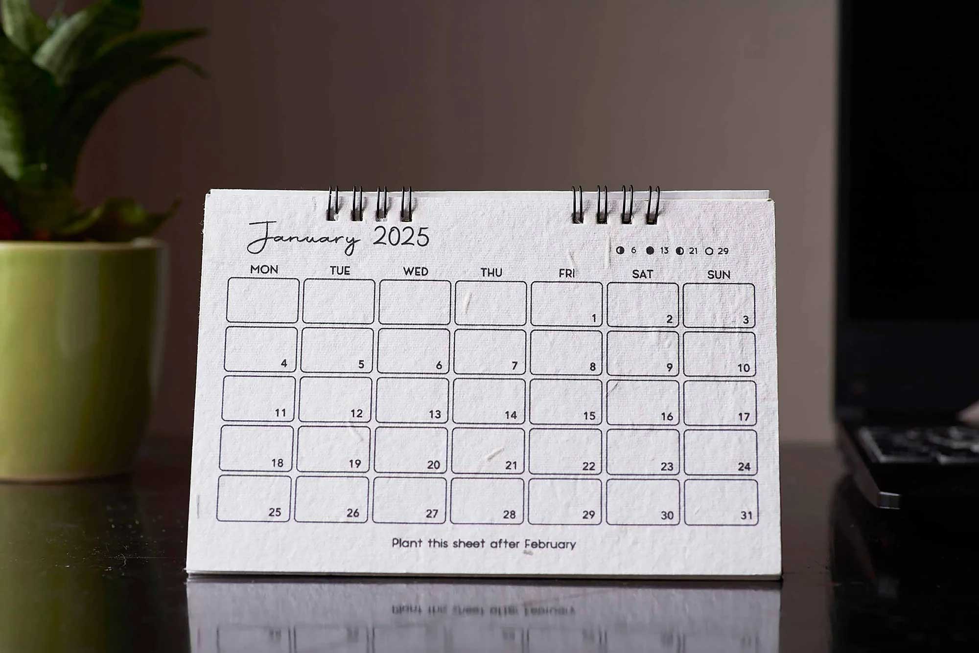 The Minimalist | Plantables Planner-Calendar 2025