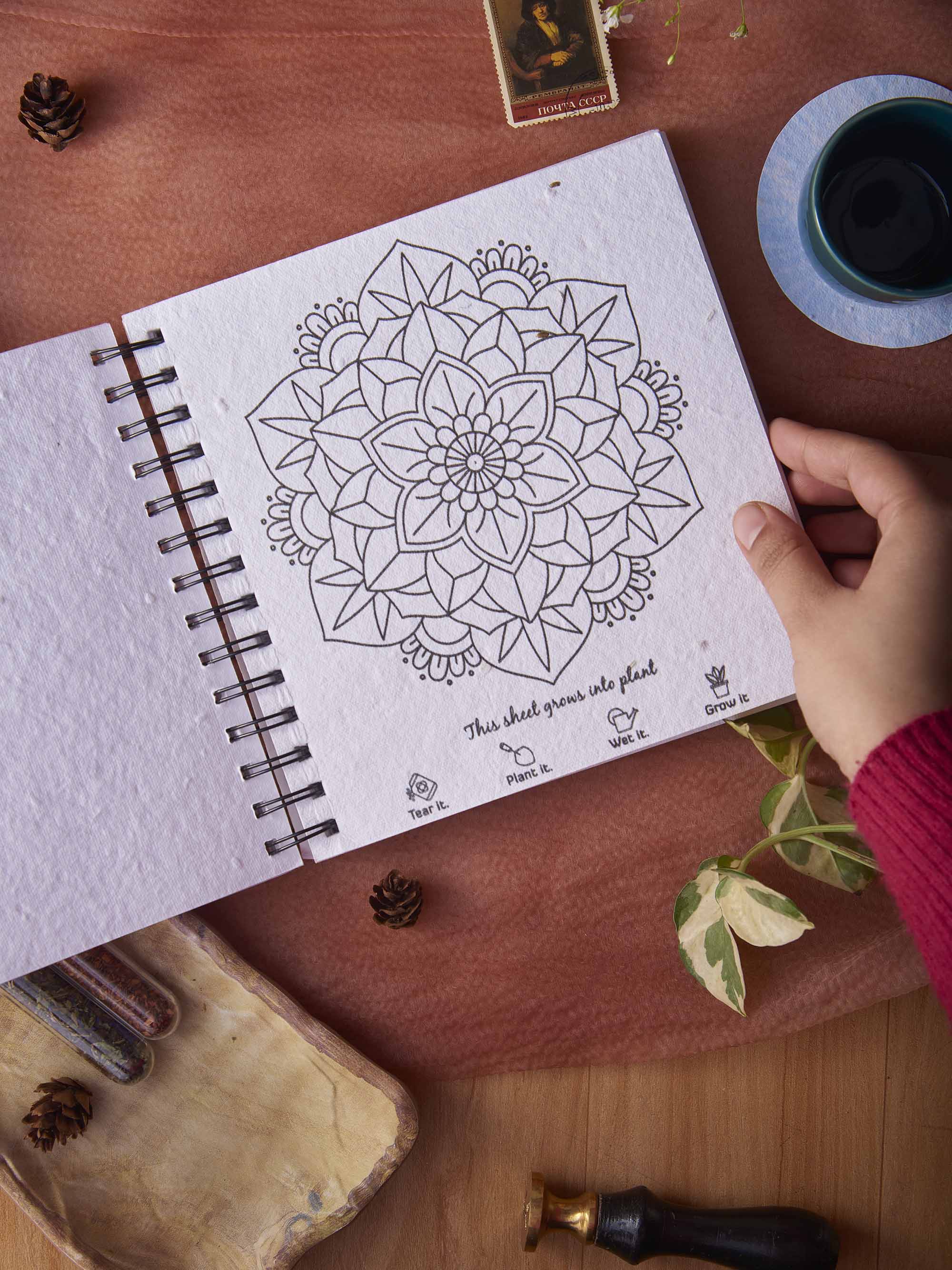 Plantables Adult Coloring Gift Set