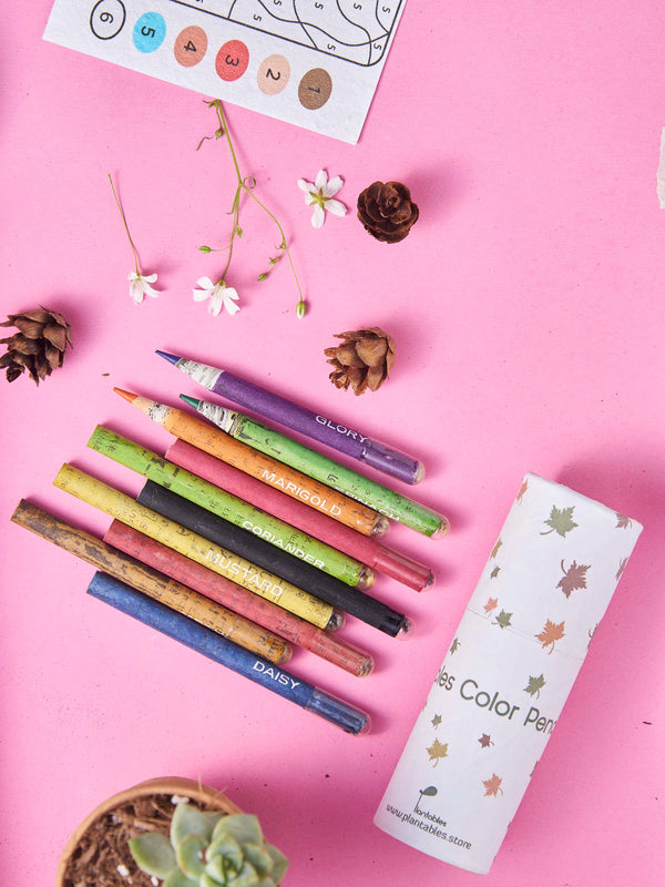 Mandalas: A Mini Plantable Stationery Rakhi Gift Kit for Sisters